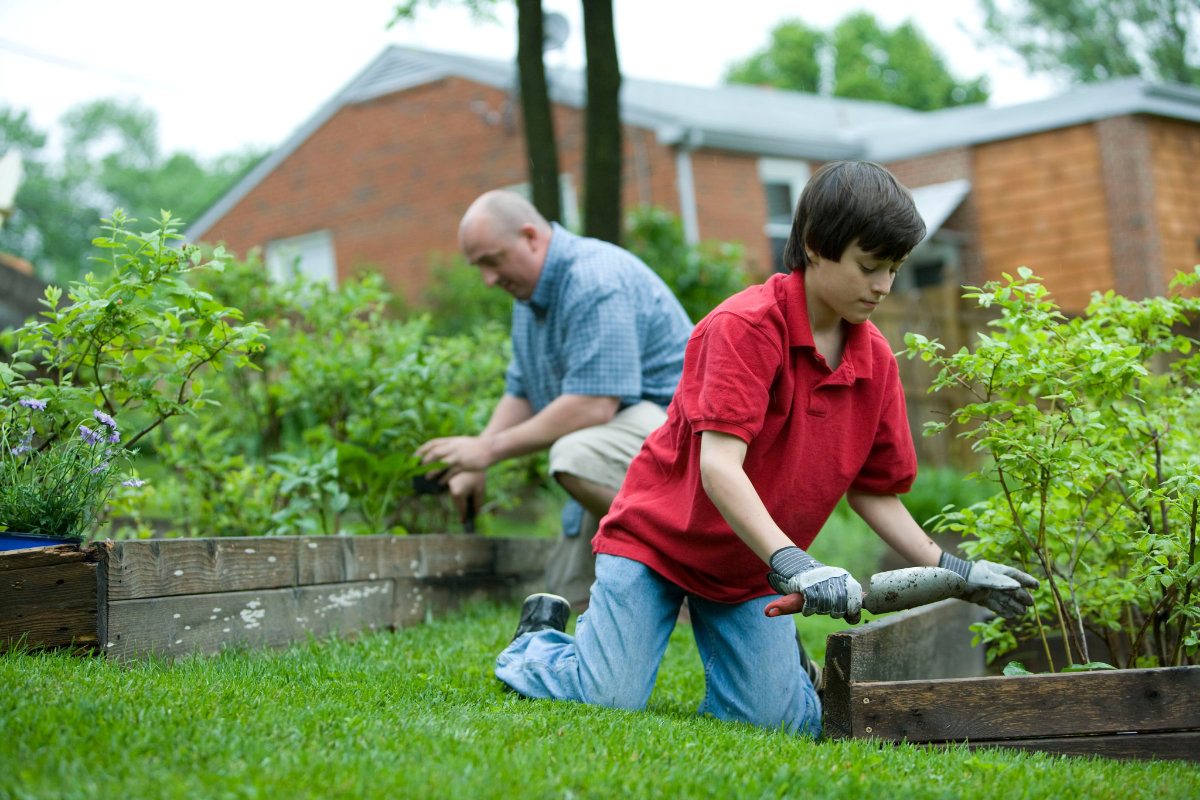 How To: Build An Organic Vegetable Garden On Your Lawn