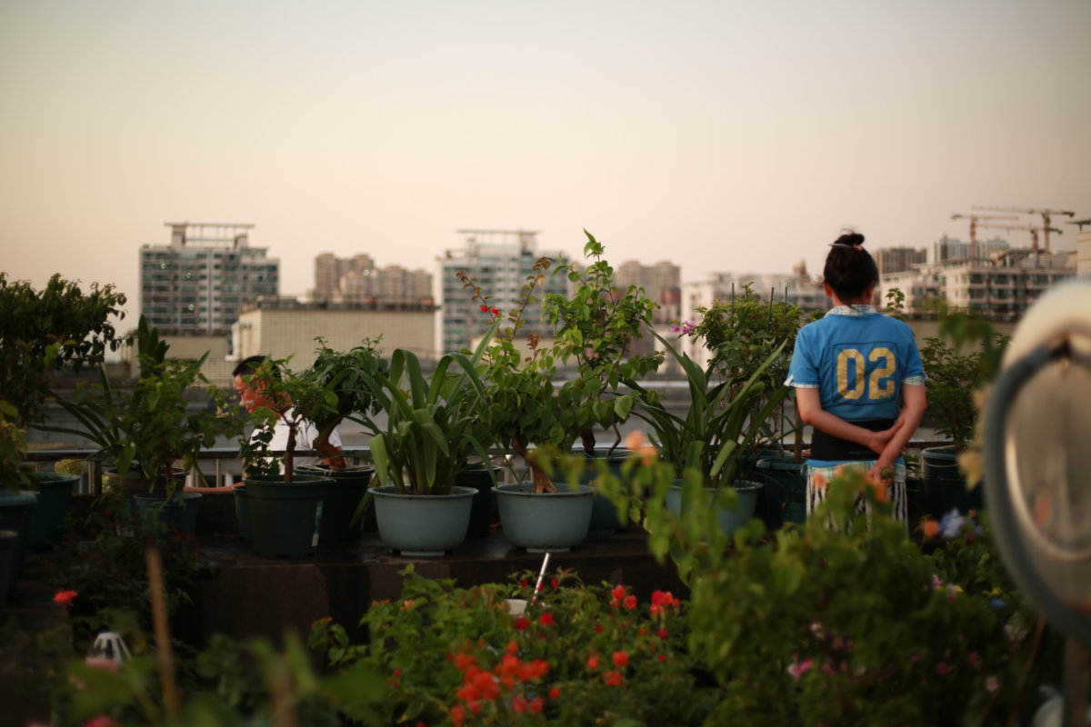 How To: Organic Gardening On Balconies And Windowsills
