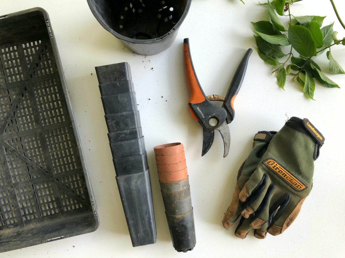 How To: Get Started with an Organic Garden